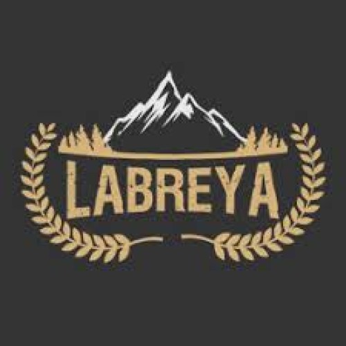 LABREYA GIDA SANAYİ - IP KAMERA SİSTEMLERİ